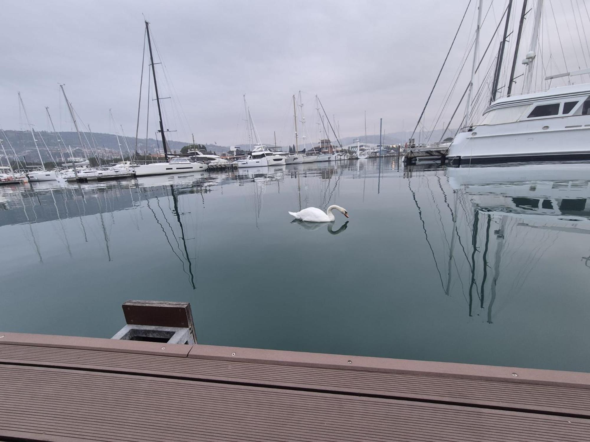 Villa Floating Sea House Aurora à Portorož Extérieur photo