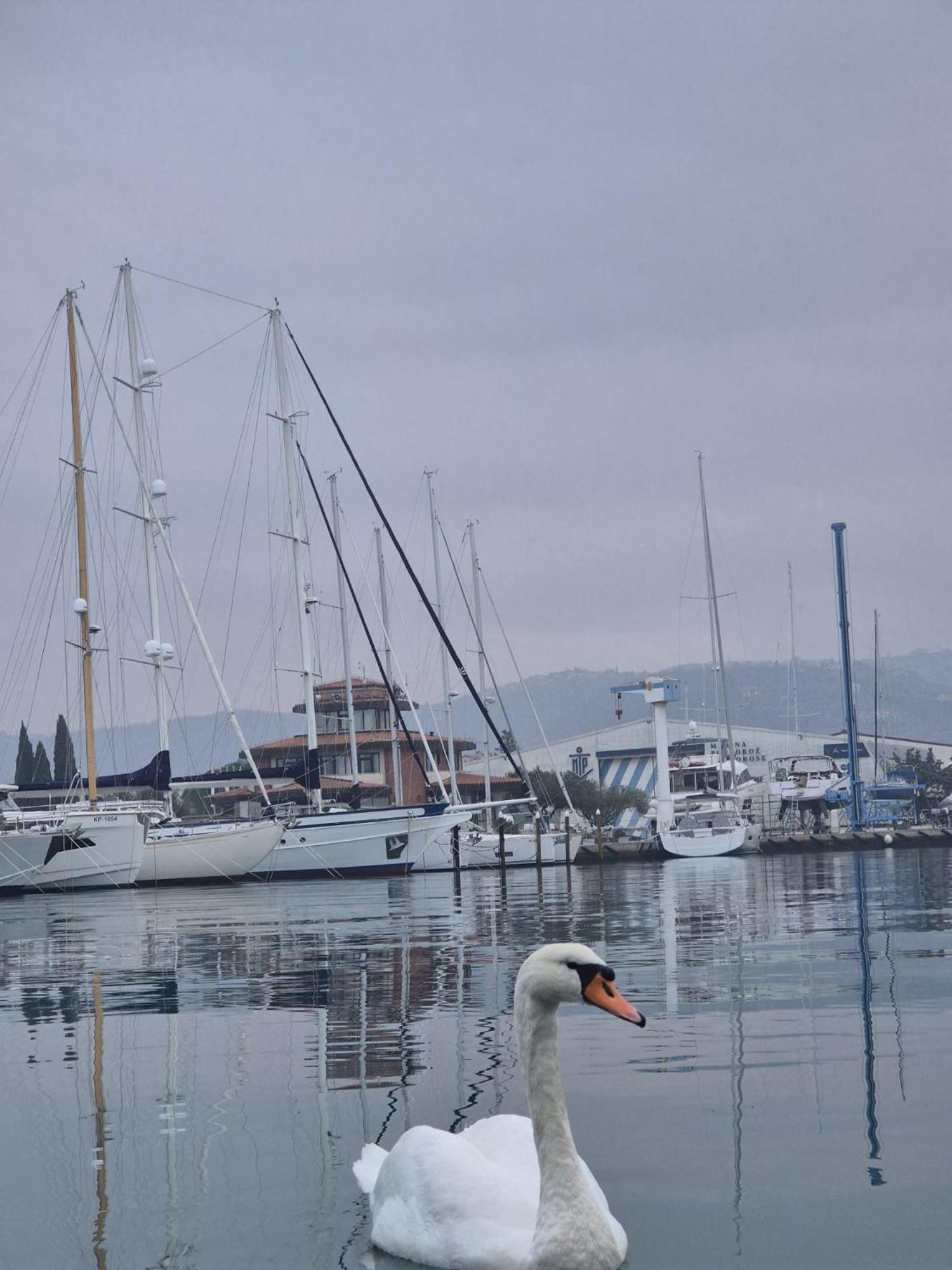 Villa Floating Sea House Aurora à Portorož Extérieur photo