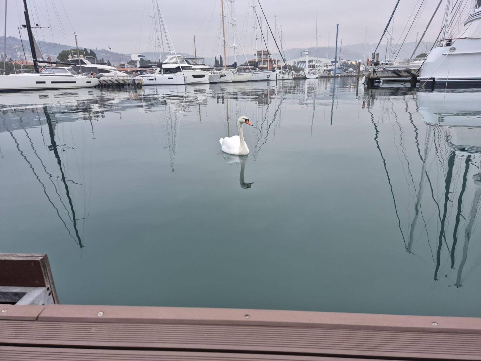 Villa Floating Sea House Aurora à Portorož Extérieur photo